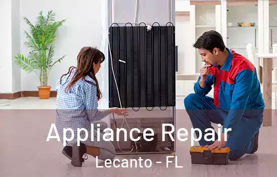  Appliance Repair Lecanto - FL