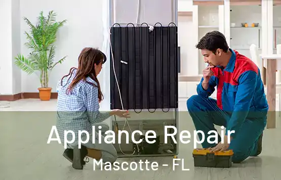 Appliance Repair Mascotte - FL