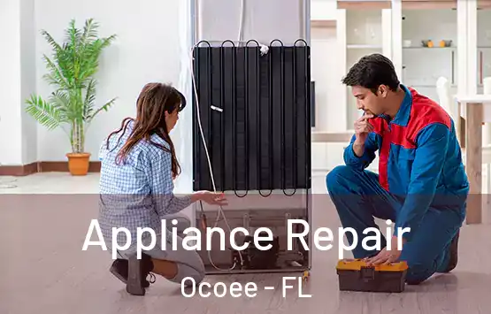  Appliance Repair Ocoee - FL