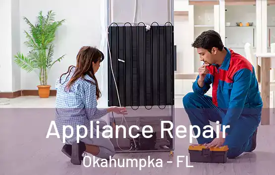  Appliance Repair Okahumpka - FL