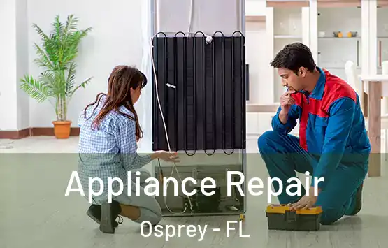  Appliance Repair Osprey - FL