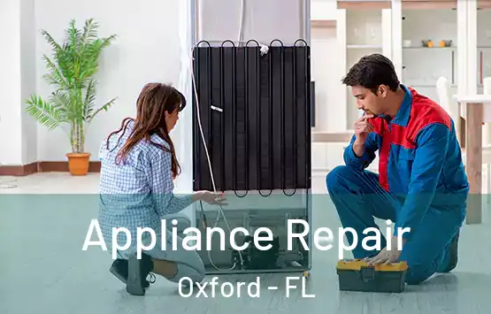 Appliance Repair Oxford - FL