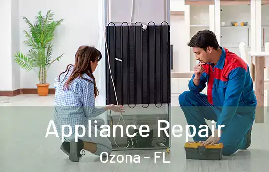  Appliance Repair Ozona - FL