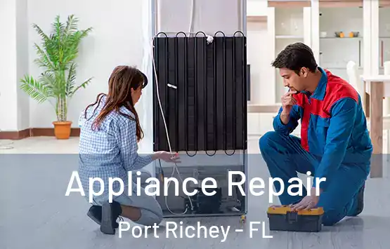  Appliance Repair Port Richey - FL