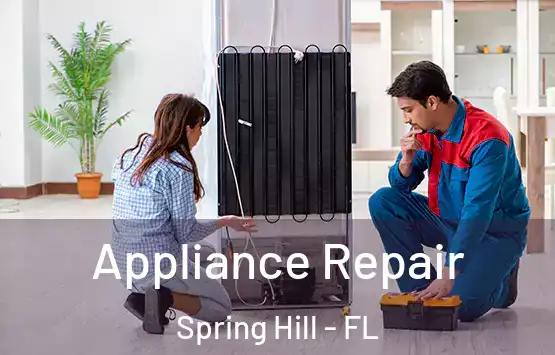  Appliance Repair Spring Hill - FL