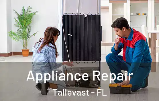  Appliance Repair Tallevast - FL