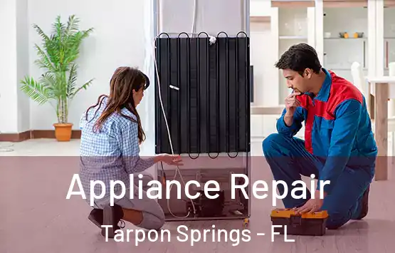  Appliance Repair Tarpon Springs - FL