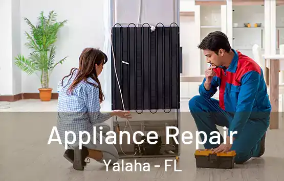  Appliance Repair Yalaha - FL