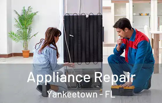  Appliance Repair Yankeetown - FL