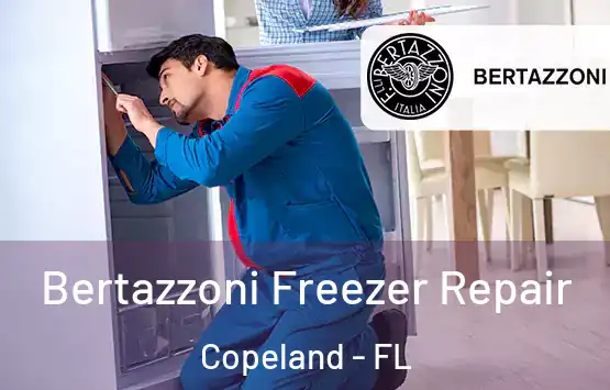  Bertazzoni Freezer Repair Copeland - FL