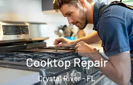  Cooktop Repair Crystal River - FL