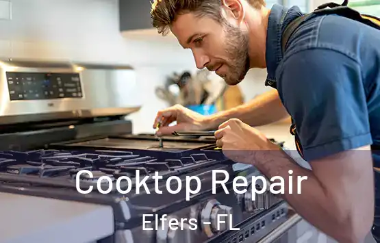  Cooktop Repair Elfers - FL