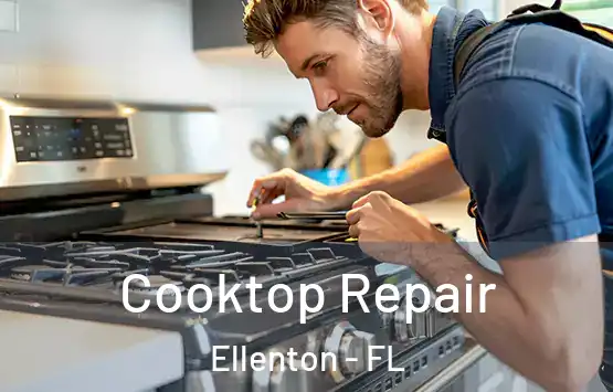  Cooktop Repair Ellenton - FL