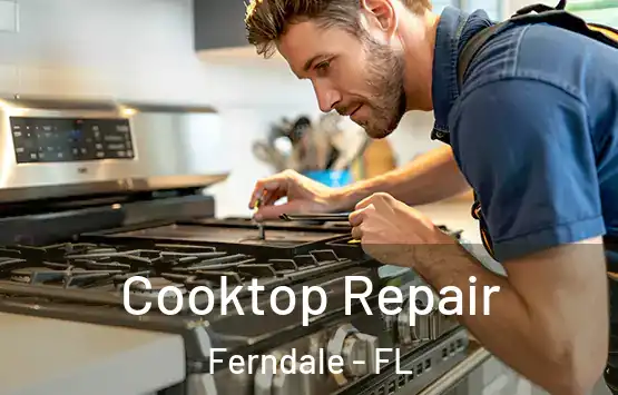  Cooktop Repair Ferndale - FL