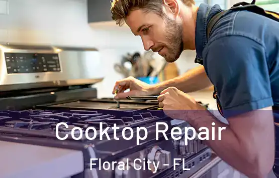  Cooktop Repair Floral City - FL