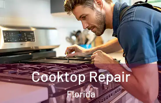  Cooktop Repair Florida