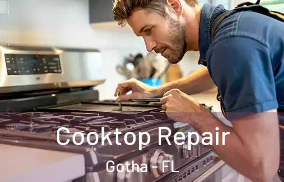  Cooktop Repair Gotha - FL