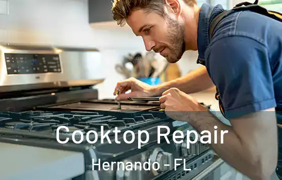  Cooktop Repair Hernando - FL