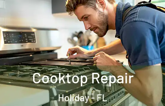  Cooktop Repair Holiday - FL