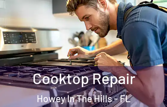  Cooktop Repair Howey In The Hills - FL