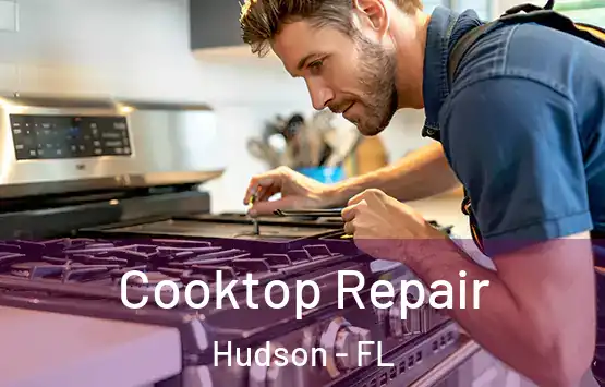  Cooktop Repair Hudson - FL