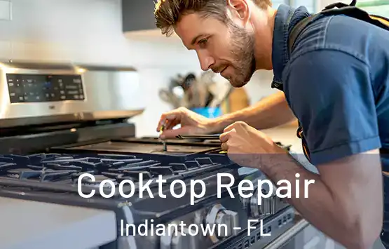  Cooktop Repair Indiantown - FL