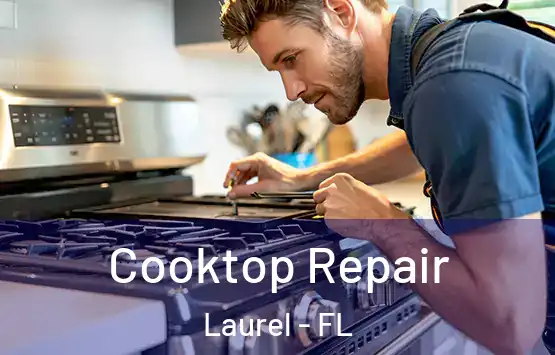  Cooktop Repair Laurel - FL