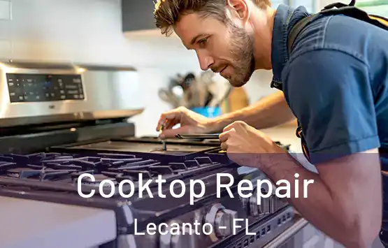  Cooktop Repair Lecanto - FL