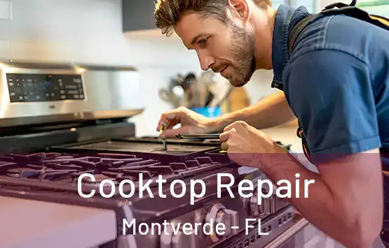  Cooktop Repair Montverde - FL