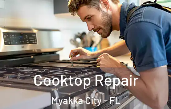  Cooktop Repair Myakka City - FL