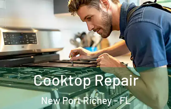  Cooktop Repair New Port Richey - FL