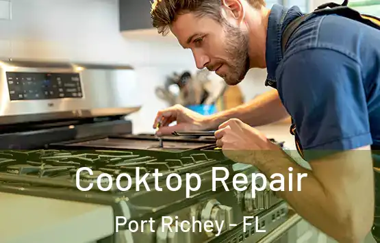 Cooktop Repair Port Richey - FL
