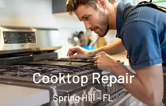  Cooktop Repair Spring Hill - FL