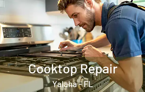  Cooktop Repair Yalaha - FL