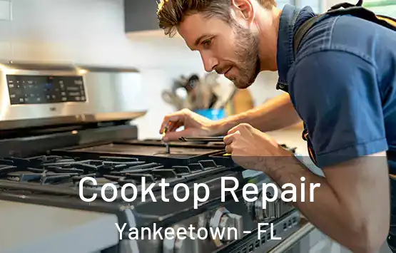  Cooktop Repair Yankeetown - FL
