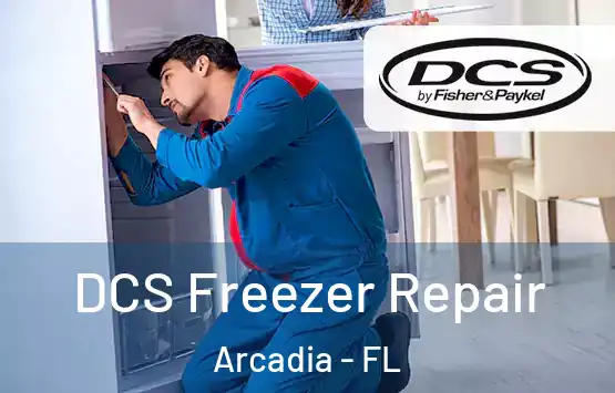  DCS Freezer Repair Arcadia - FL