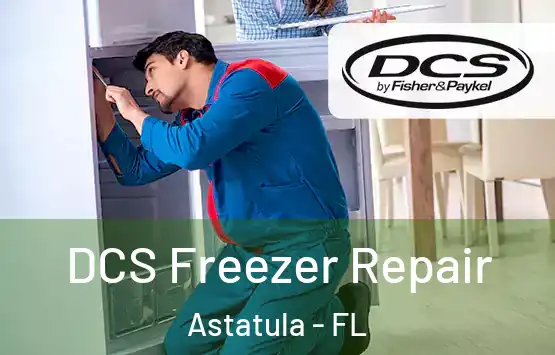  DCS Freezer Repair Astatula - FL