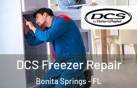  DCS Freezer Repair Bonita Springs - FL