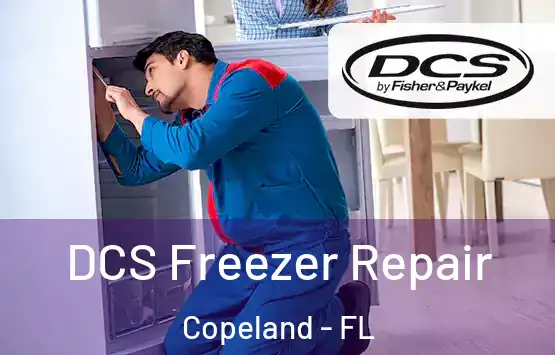  DCS Freezer Repair Copeland - FL