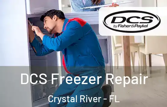  DCS Freezer Repair Crystal River - FL