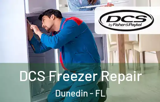  DCS Freezer Repair Dunedin - FL
