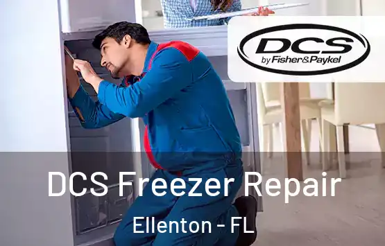 DCS Freezer Repair Ellenton - FL