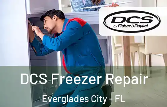  DCS Freezer Repair Everglades City - FL