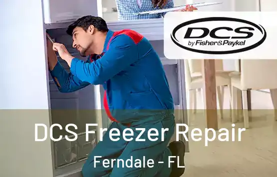  DCS Freezer Repair Ferndale - FL