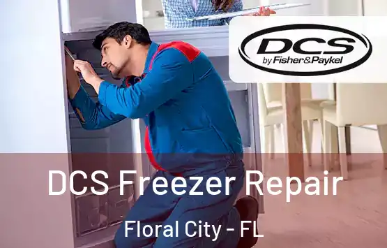  DCS Freezer Repair Floral City - FL