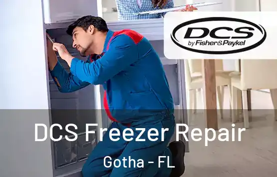  DCS Freezer Repair Gotha - FL