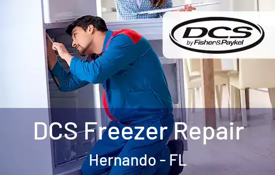  DCS Freezer Repair Hernando - FL
