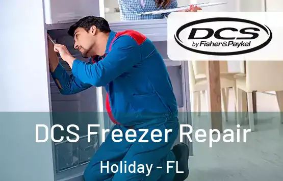  DCS Freezer Repair Holiday - FL