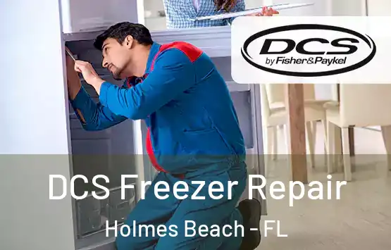 DCS Freezer Repair Holmes Beach - FL