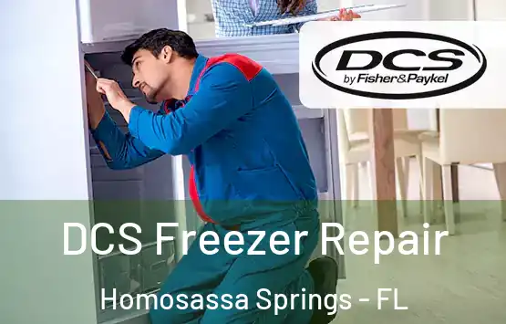  DCS Freezer Repair Homosassa Springs - FL